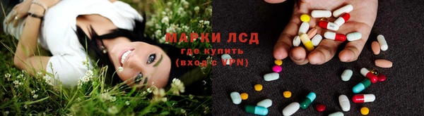 дмт Арсеньев