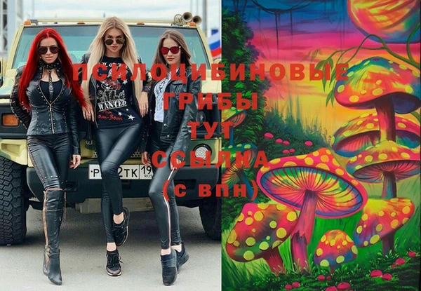 амф Аркадак