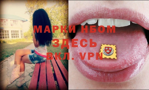 дмт Арсеньев