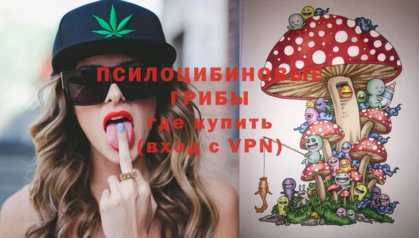 амф Аркадак